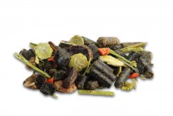 Gastro ActiveCare-Mix