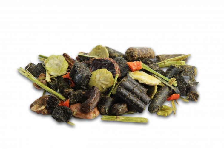 Gastro ActiveCare-Mix