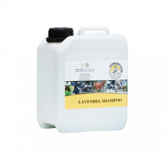 Lavendel Shampoo