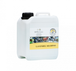 Lavendel Shampoo