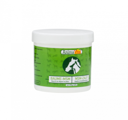 MSM mast  250g